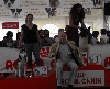  - SALON ANIMALIER 2013