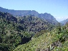  - LA CANI-RANDO DE CILAOS CASCADE BRAS ROUGE