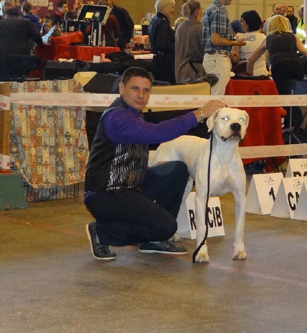 des sphinx du clair de lune - EXPO COLMAR 6/04/2014