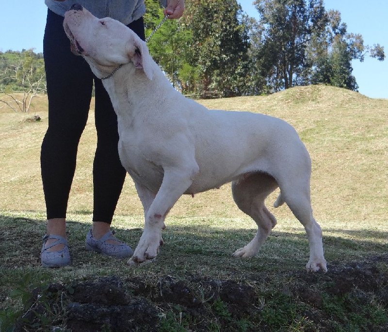 Jeanne dite jaya de los Hijos de la Luna